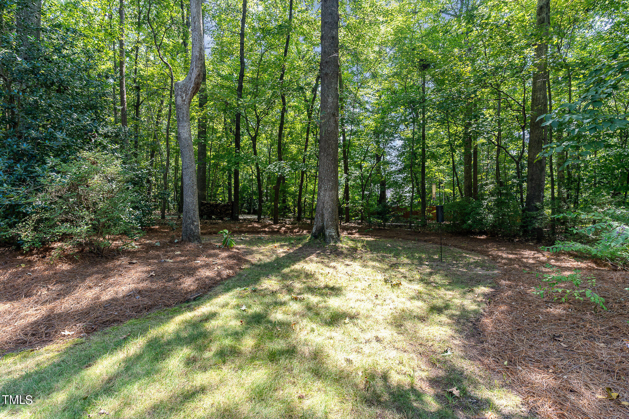 109 Lochfield Drive Cary, NC 27518 - Photo 31 of 43 a view of outdoor space with trees