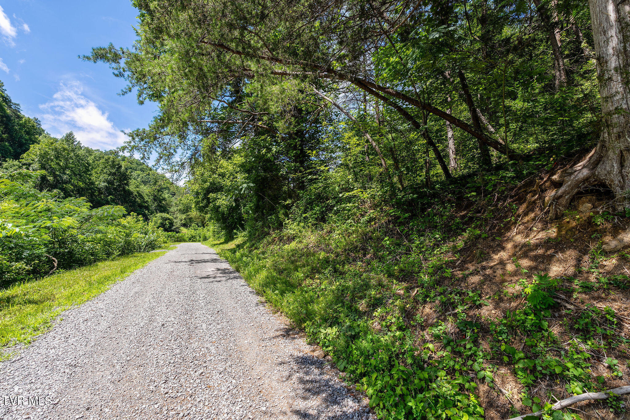 582 Brooks Road Sneedville, TN 37869 - Photo 25 of 27 DSC07297