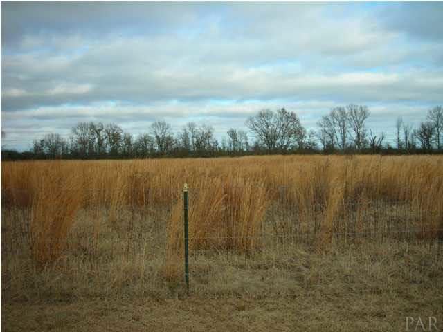 3372 North Simmons Road Jay, FL 32565 - Photo 5 of 24 Do you like peace and quiet? You can watch the wild life play beyond your back fence
