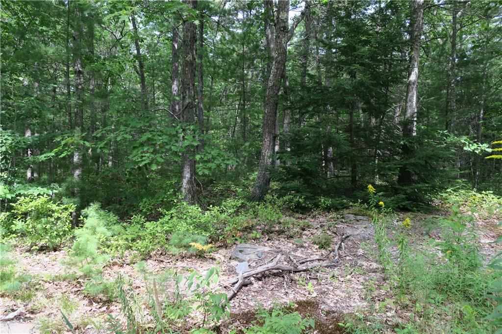 19 Great Pasture Road York, ME 03902 - Photo 1 of 15