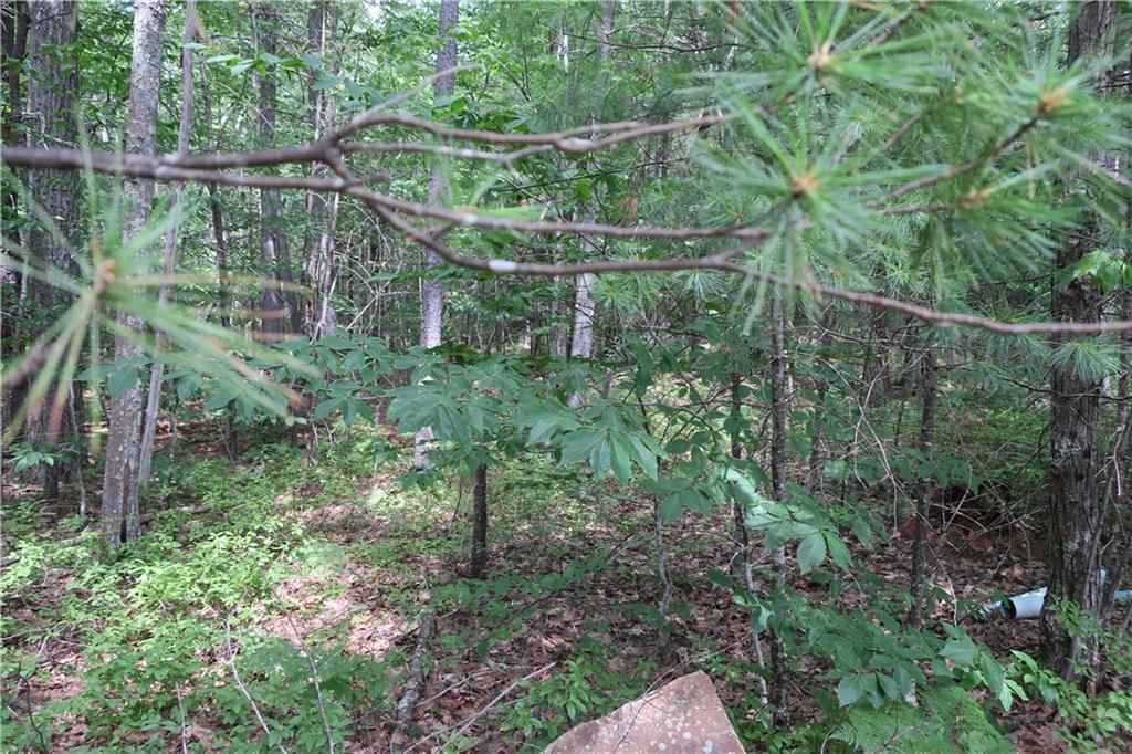 19 Great Pasture Road York, ME 03902 - Photo 2 of 15