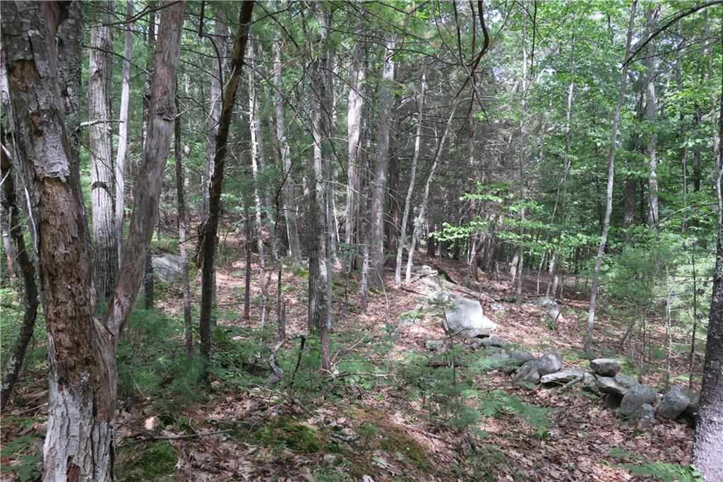 19 Great Pasture Road York, ME 03902 - Photo 11 of 15