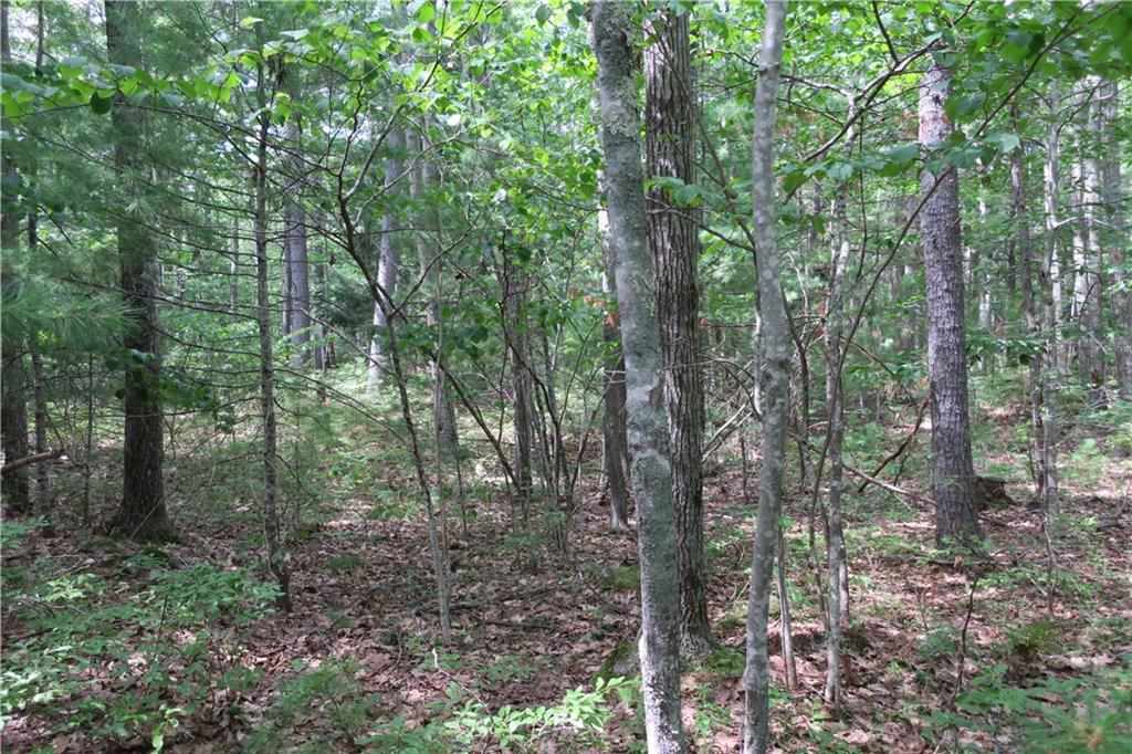 19 Great Pasture Road York, ME 03902 - Photo 12 of 15