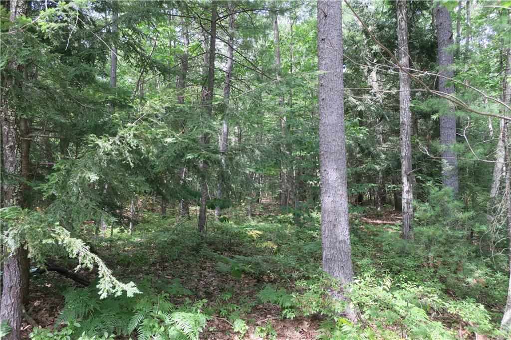 19 Great Pasture Road York, ME 03902 - Photo 13 of 15