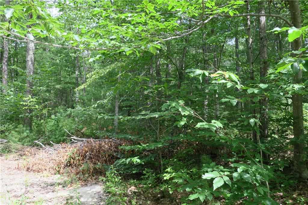 19 Great Pasture Road York, ME 03902 - Photo 4 of 15