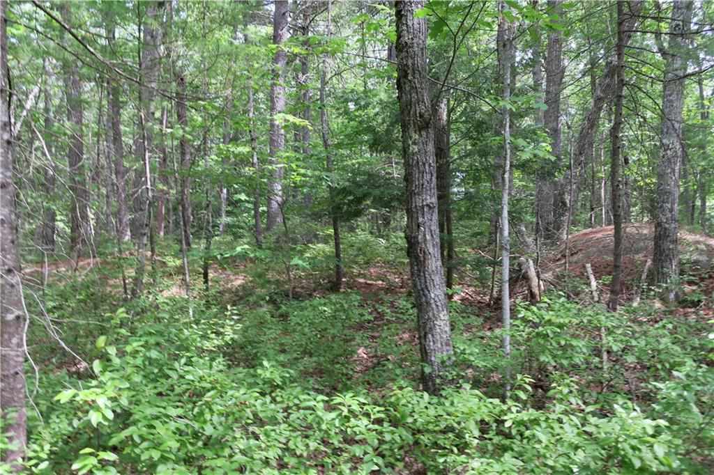 19 Great Pasture Road York, ME 03902 - Photo 5 of 15