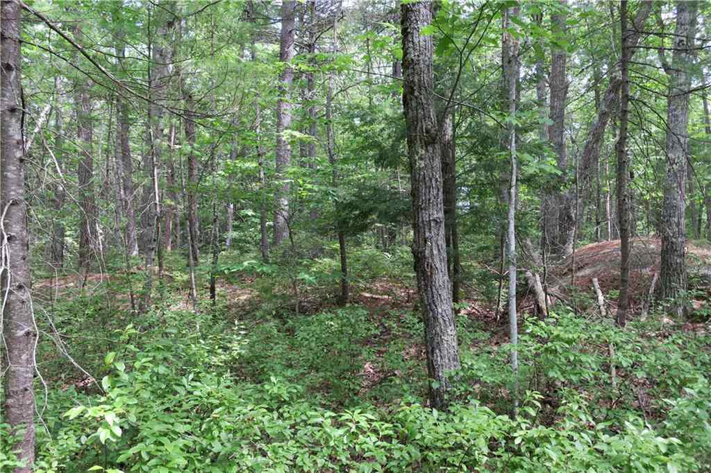 19 Great Pasture Road York, ME 03902 - Photo 6 of 15