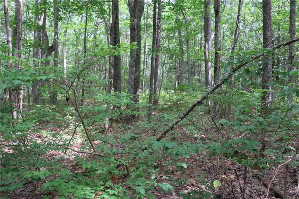 19 Great Pasture Road York, ME 03902 - Photo 7 of 15