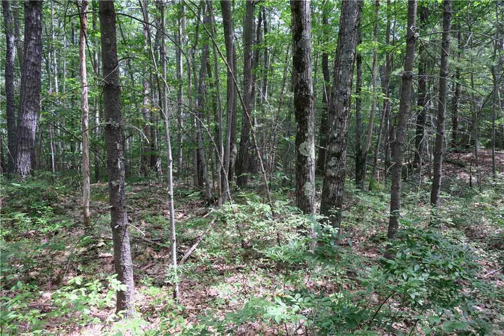 19 Great Pasture Road York, ME 03902 - Photo 8 of 15