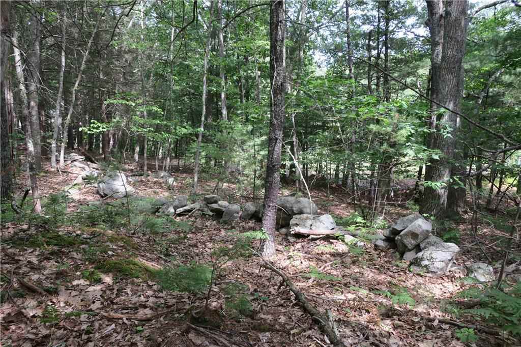 19 Great Pasture Road York, ME 03902 - Photo 9 of 15