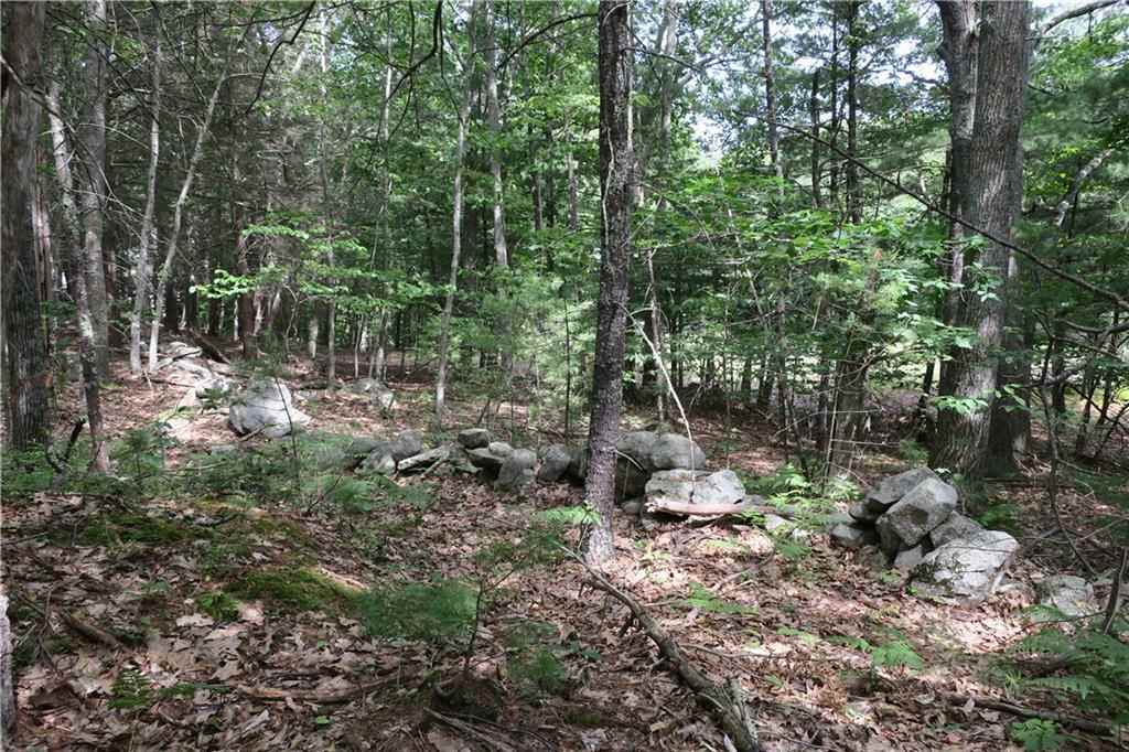 19 Great Pasture Road York, ME 03902 - Photo 10 of 15