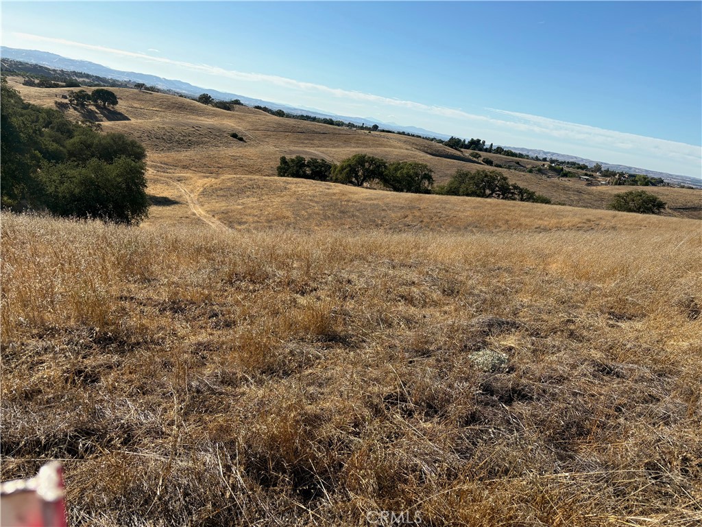 2495 Maverick Way Paso Robles, CA 93446 - Photo 5 of 6 a view of a dry yard with wooden floor