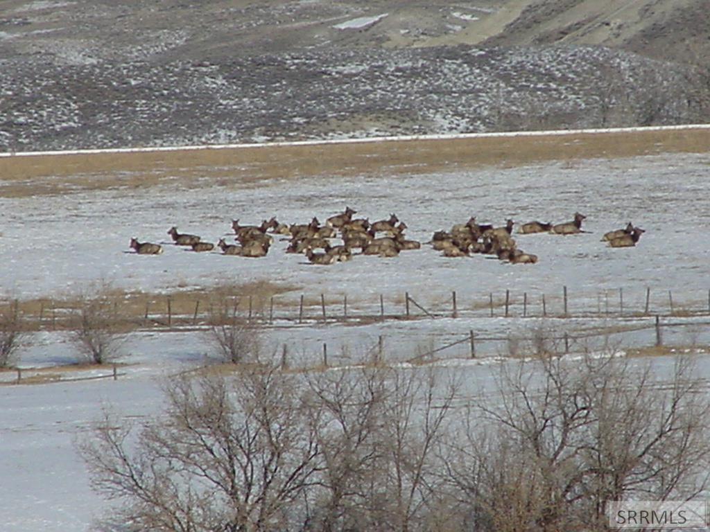 36 South Hawk Road Salmon, ID 83467 - Photo 19 of 25