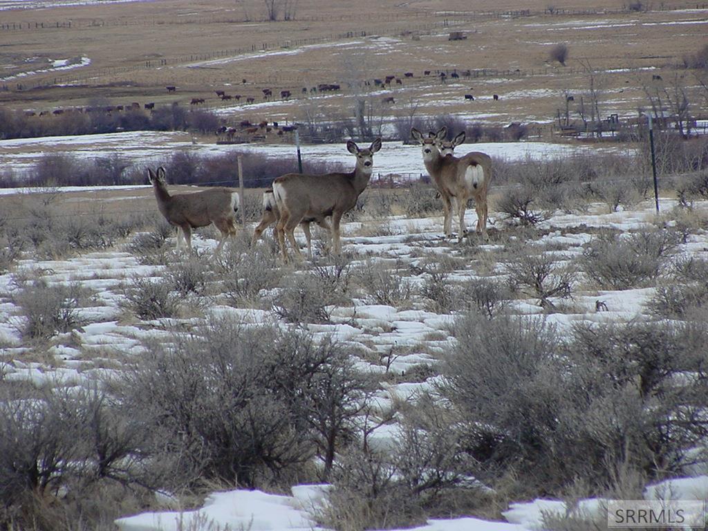 36 South Hawk Road Salmon, ID 83467 - Photo 25 of 25