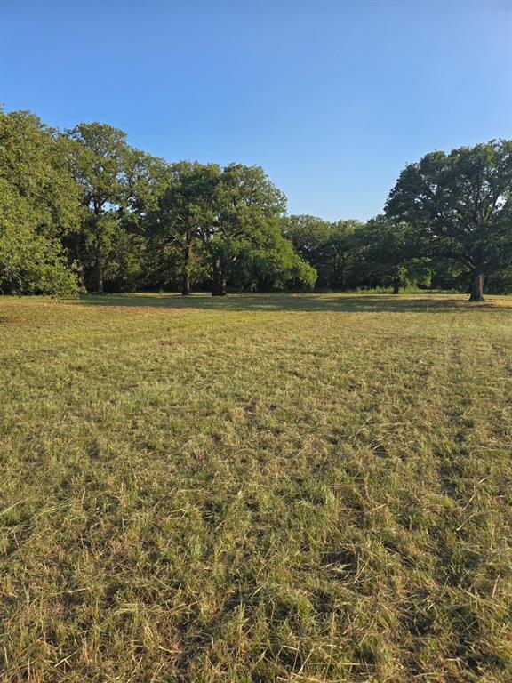 384 Red Oak Hills Road Nocona, TX 76255 - Photo 2 of 10 Gallery Image 2