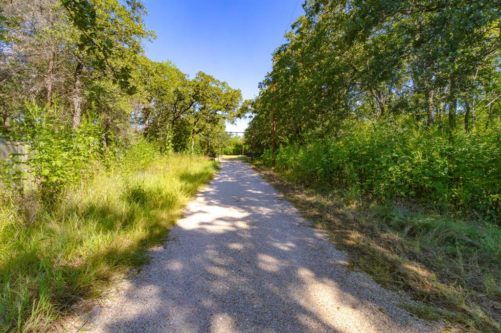 536 Cavin Lane Axtell, TX 76624 - Photo 7 of 40 a view of a yard with plants and large trees