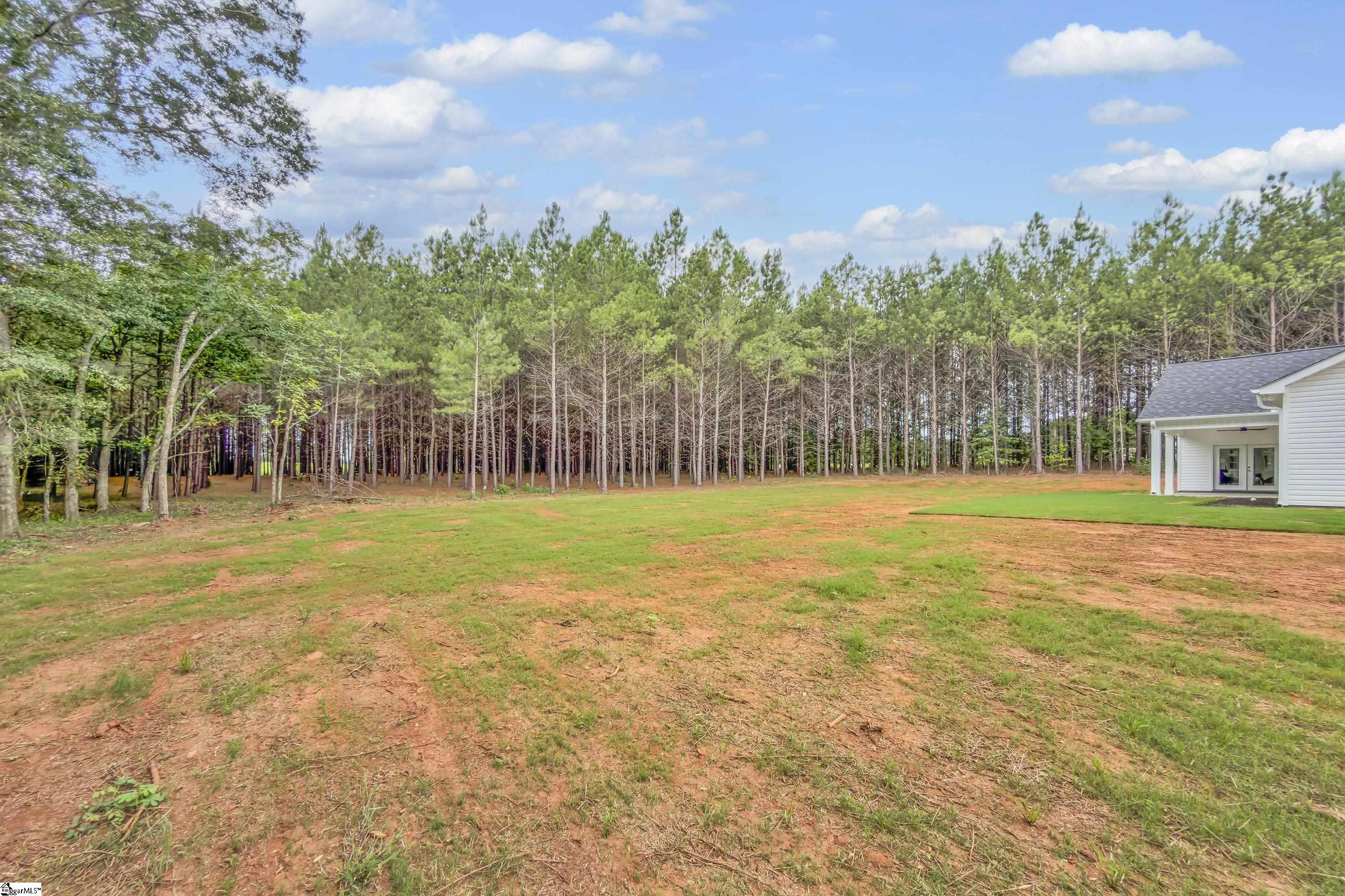 233 Reidville Road Williamston, SC 29697 - Photo 30 of 38 Gallery Image 30