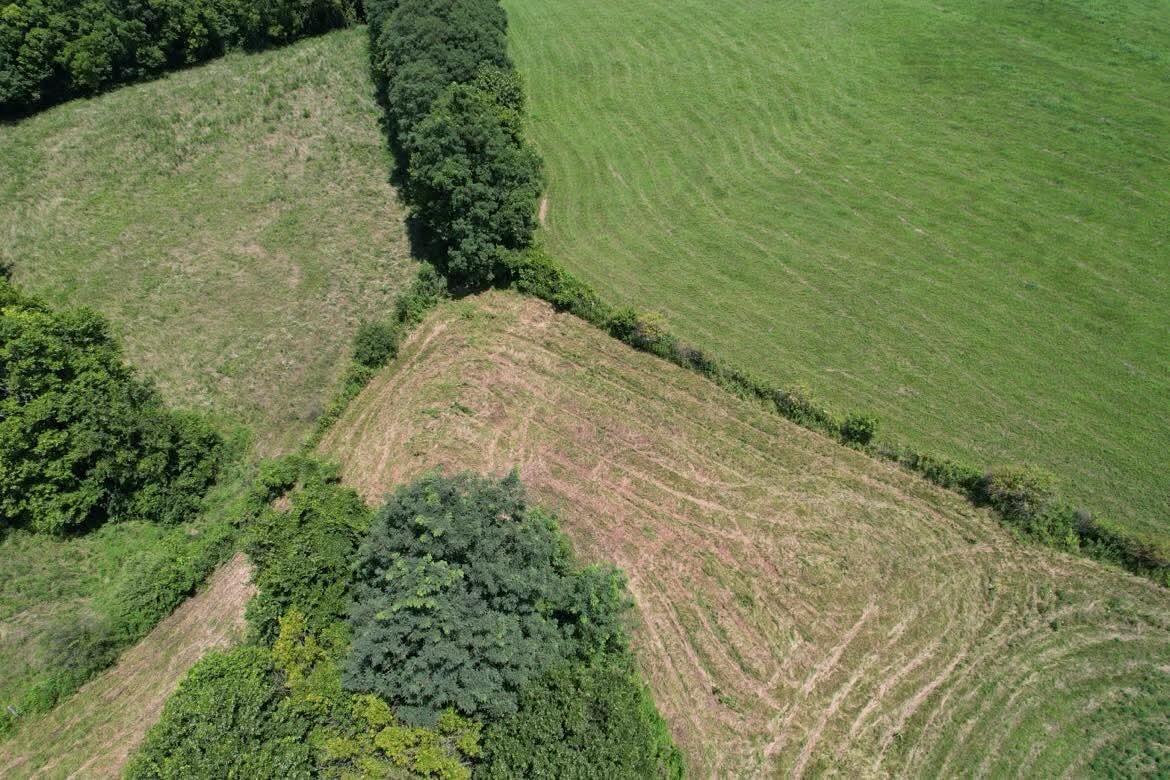 7370 Energy Road Ewing, KY 41039 - Photo 10 of 53 da482ace63453f5a058c9fee07fbb291