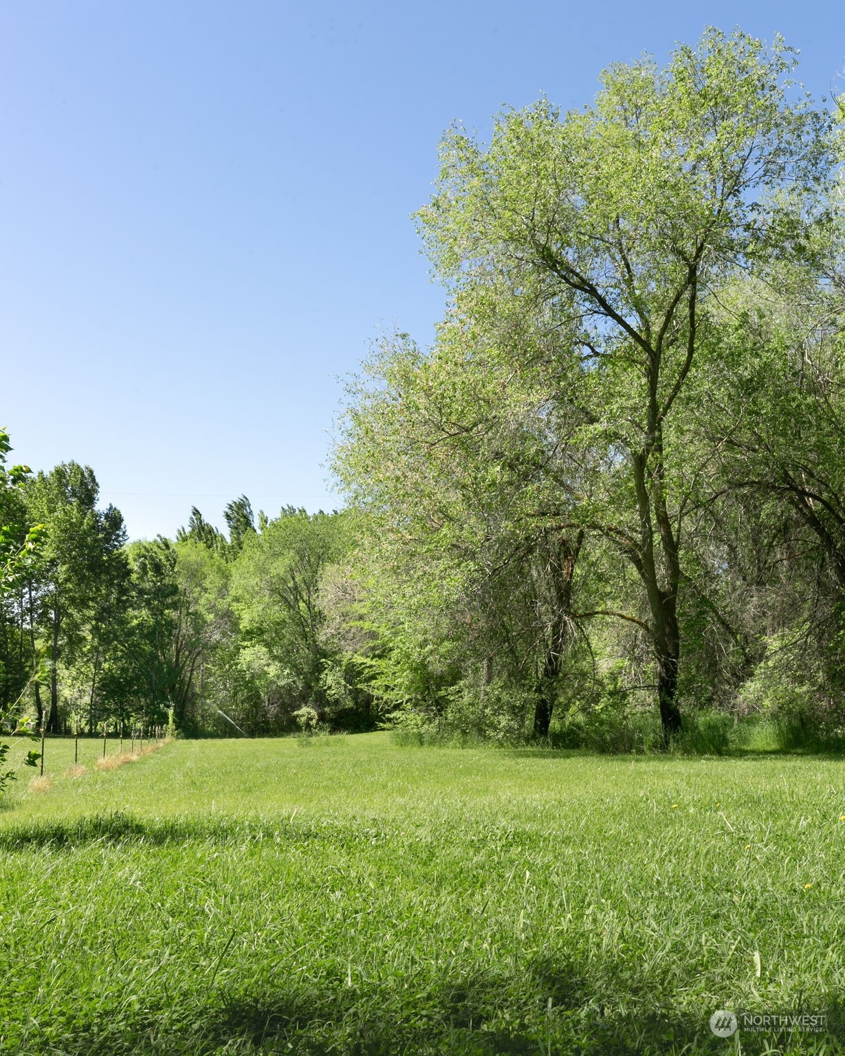 0 Collins Road Selah, WA 98942 - Photo 11 of 14 a view of outdoor space and yard