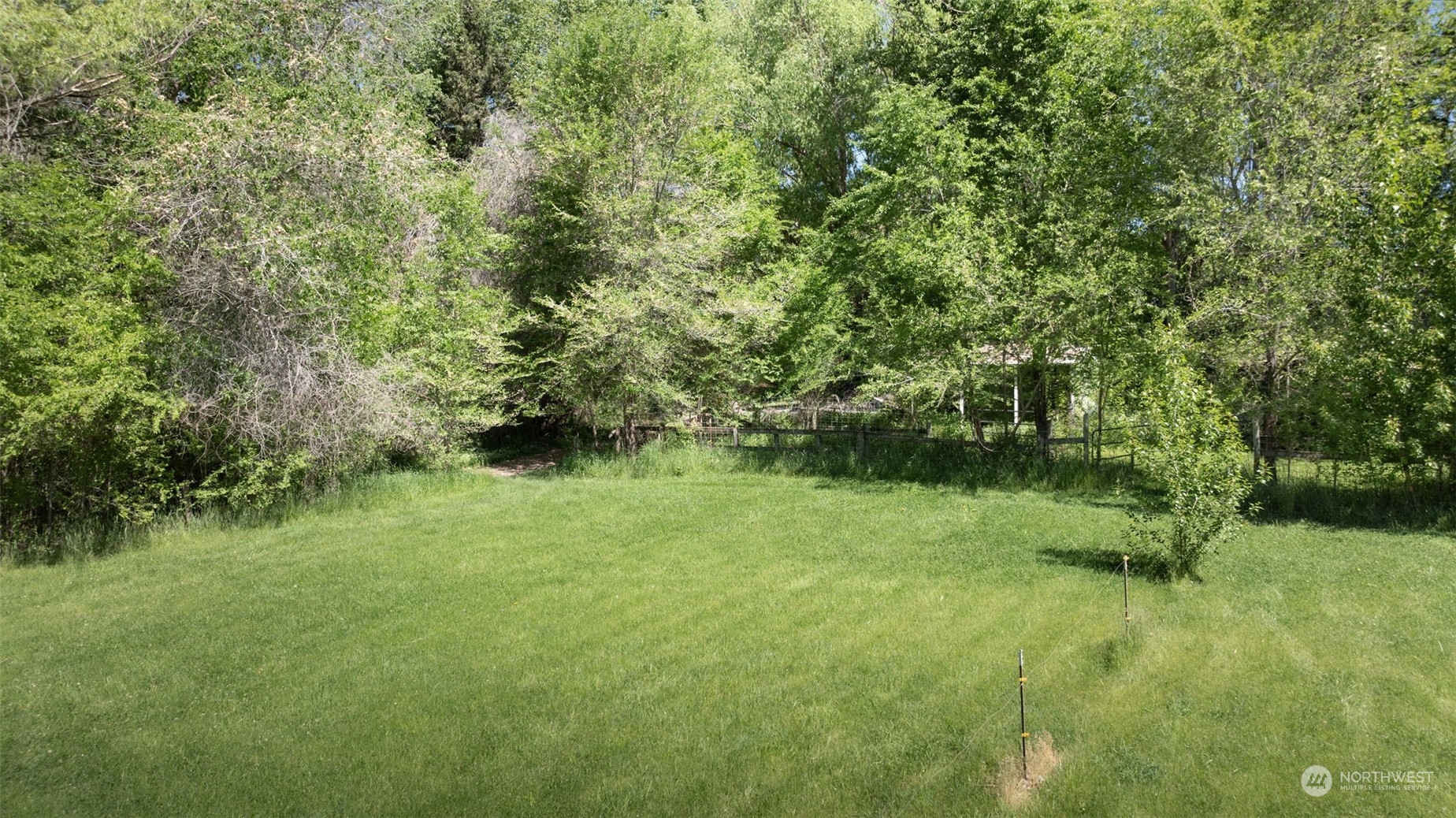 0 Collins Road Selah, WA 98942 - Photo 13 of 14 a view of a green yard