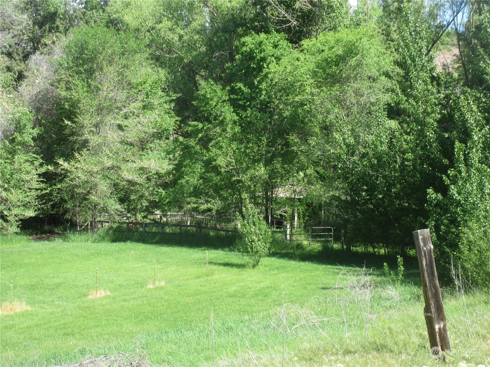0 Collins Road Selah, WA 98942 - Photo 3 of 14 a view of backyard with green space