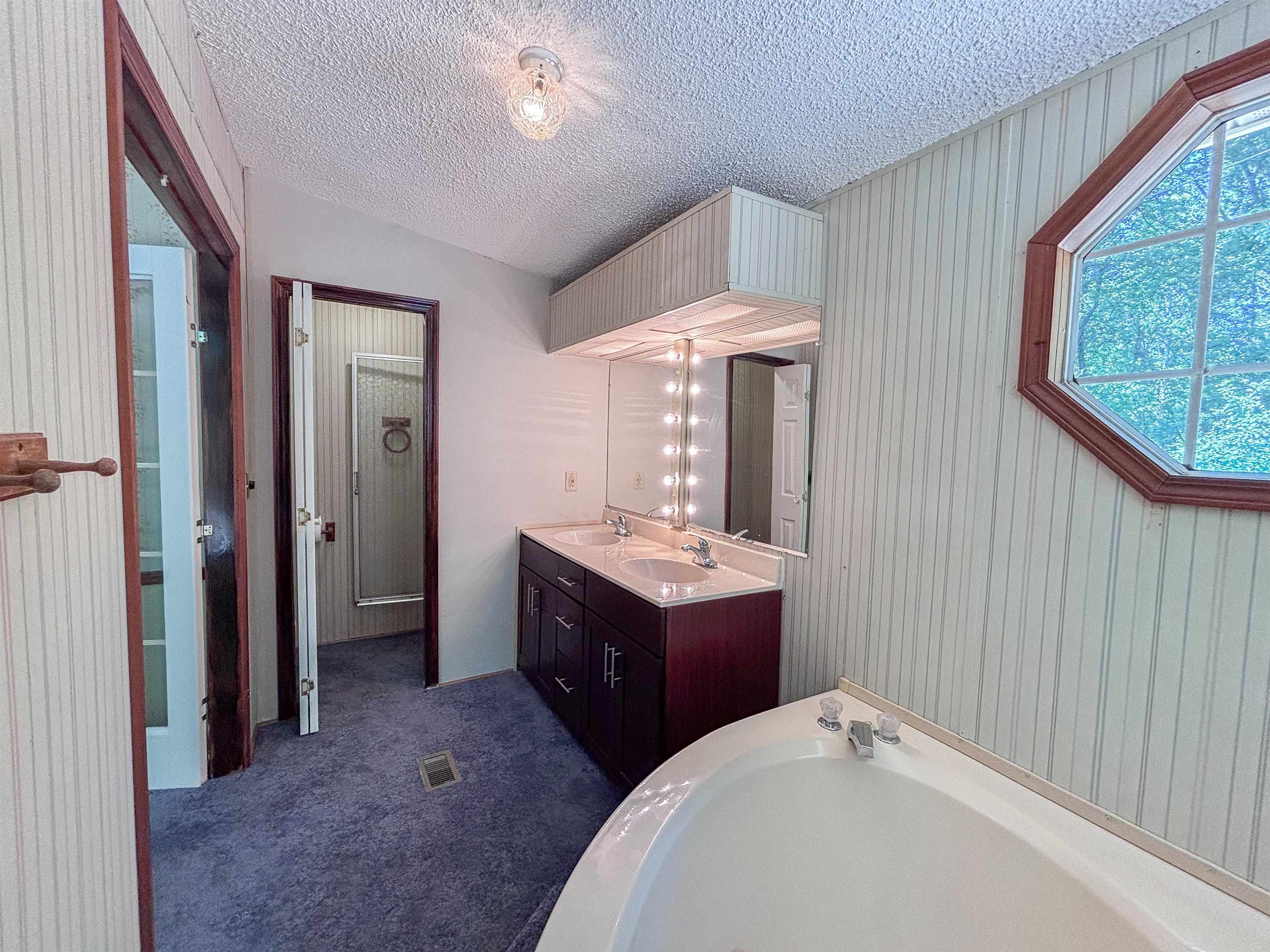 471 Milton Road Millington, TN 38053 - Photo 26 of 30 Dual vanity with integrated sinks, built-in medicine cabinet, octagonal window, white built-in tub, and textured wall paneling