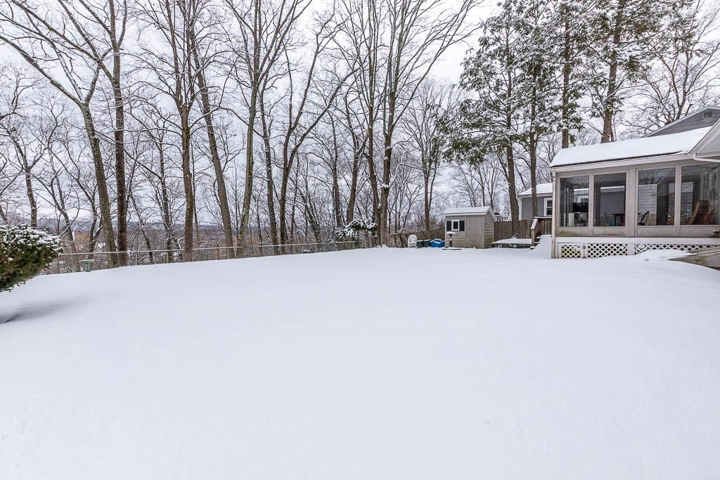 18 Greensboro Road Dedham, MA 02026 - Photo 39 of 39 a view of outdoor space yard and trees