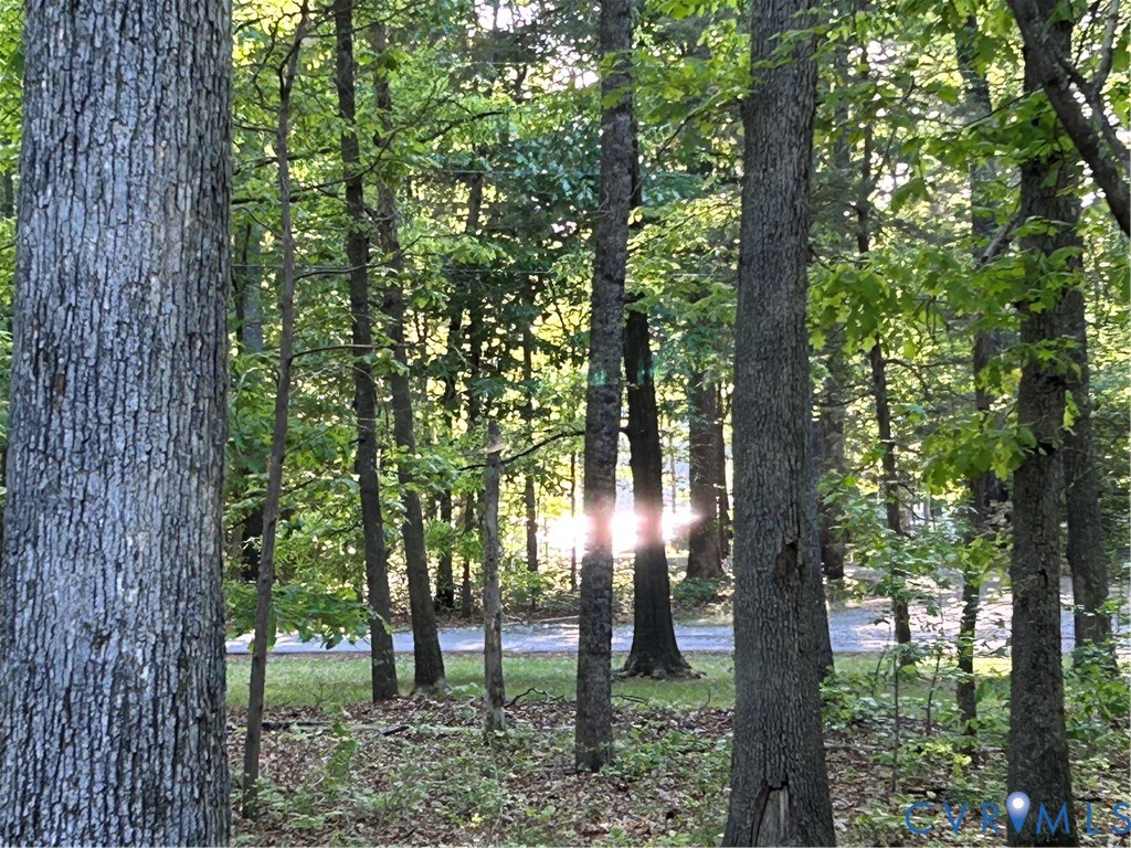 3172 Three Bridge Road Powhatan, VA 23139 - Photo 63 of 79 Gallery Image 63