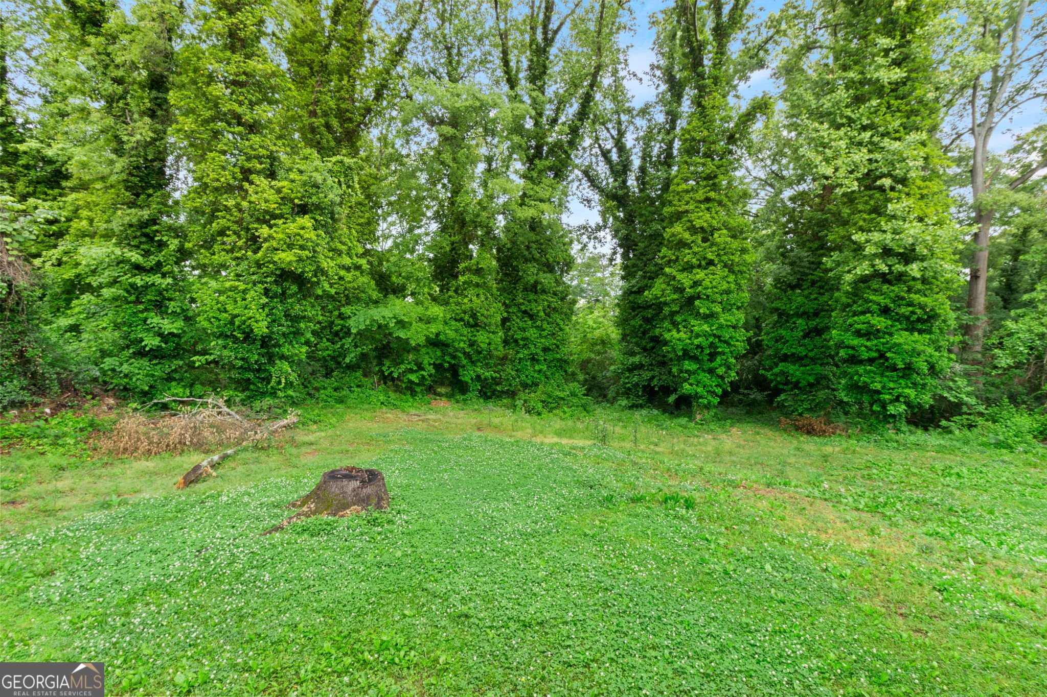 181 Holderness Street Southwest Atlanta, GA 30314 - Photo 17 of 18