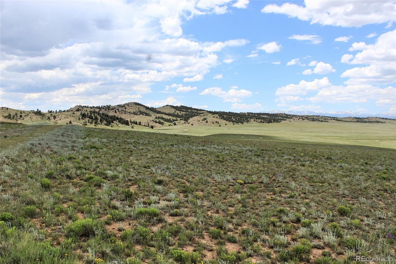 L5761 Coyotero Road Hartsel, CO 80449 - Photo 8 of 18 Gallery Image 8