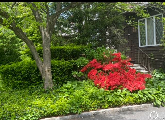 110 Echo Avenue New Rochelle, NY 10801 - Photo 22 of 24