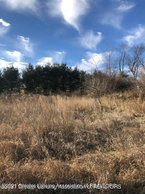 0 Wright Road Leslie, MI 49251 - Photo 37 of 41 37