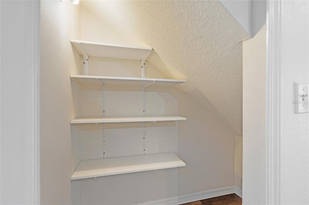 15929 Fishhawk Creek Lane Lithia, FL 33547 - Photo 13 of 25