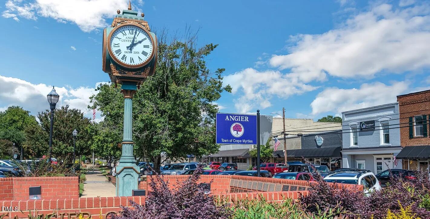1028 Red Finch Way Angier, NC 27501 - Photo 43 of 50 Sherri Downs Local LandMark