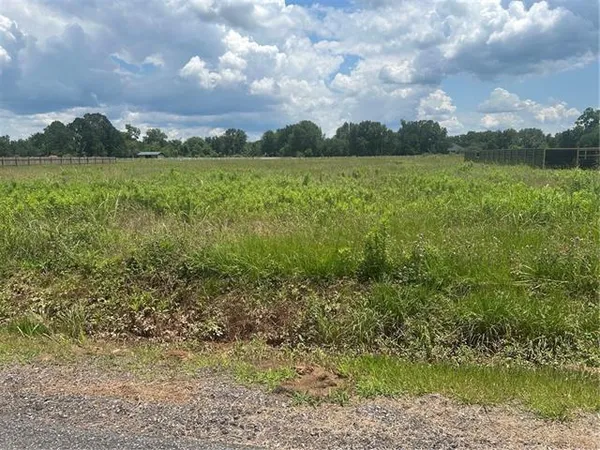 $70,000 | Lot 14 Gladys Drive, Alexandria, LA 71303