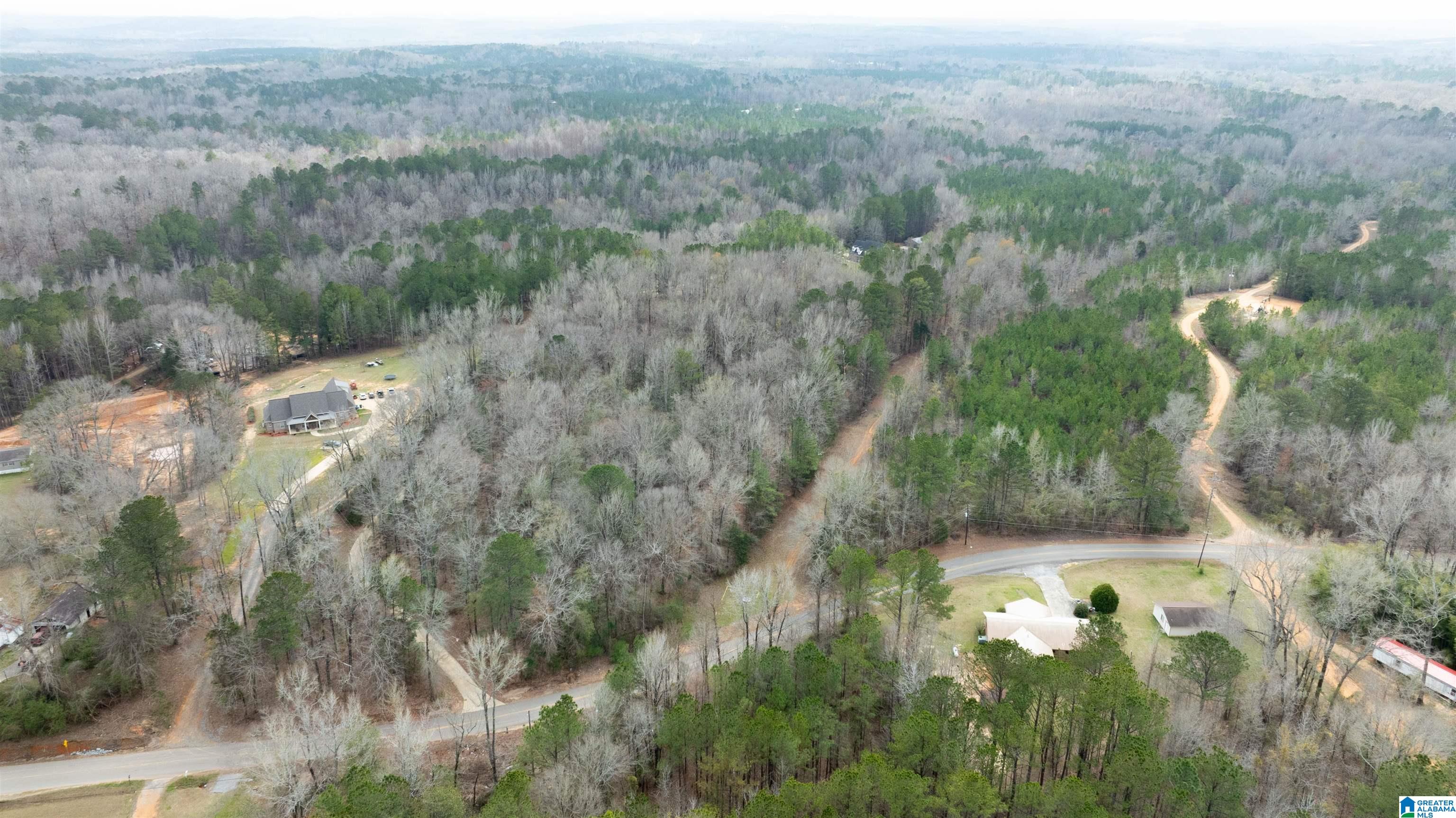 12371 Slayton Road Duncanville, AL 35456 - Photo 79 of 81