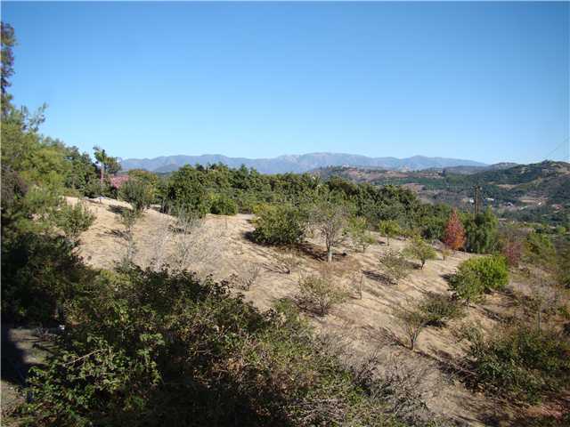 3083 Dos Lomas Fallbrook, CA 92028 - Photo 12 of 16 This side of the house has up to 80 assorted fruit trees.