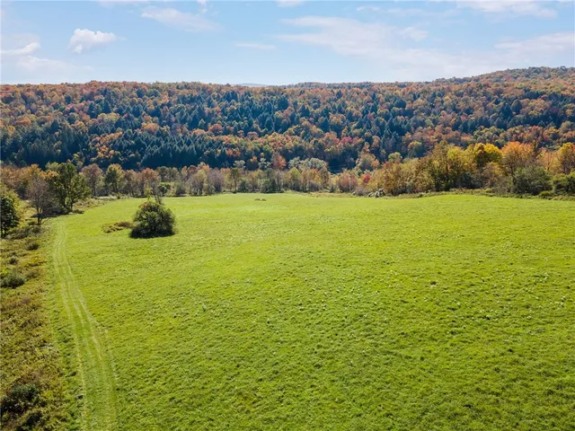 $495,900 | 1615 Left Pines Brook Road, Walton, NY 13856