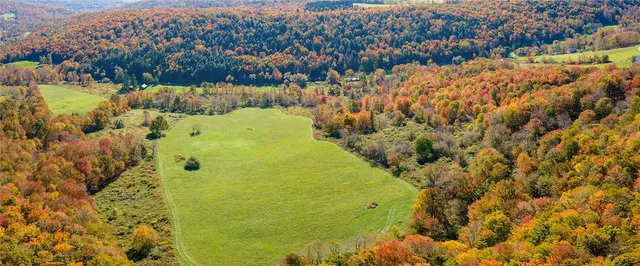 $495,900 | 1615 Left Pines Brook Road, Walton, NY 13856