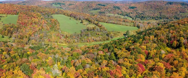 $495,900 | 1615 Left Pines Brook Road, Walton, NY 13856