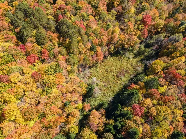 $495,900 | 1615 Left Pines Brook Road, Walton, NY 13856