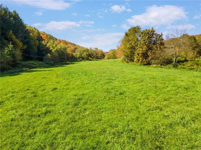 $495,900 | 1615 Left Pines Brook Road, Walton, NY 13856