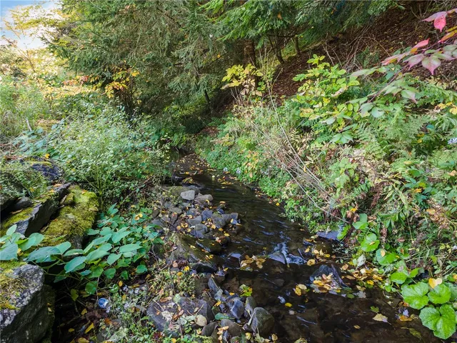 $495,900 | 1615 Left Pines Brook Road, Walton, NY 13856