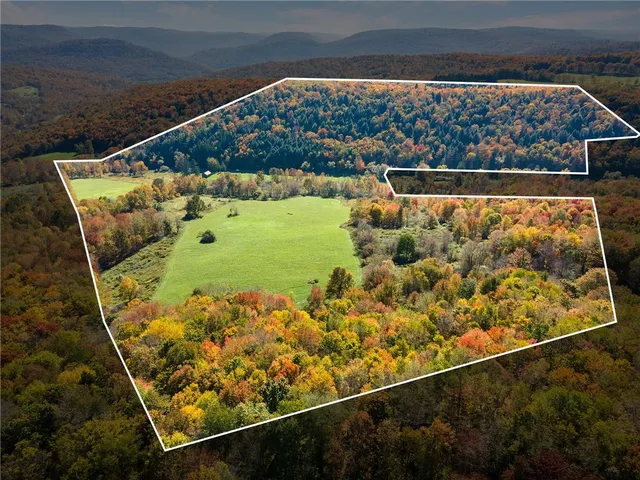 $495,900 | 1615 Left Pines Brook Road, Walton, NY 13856