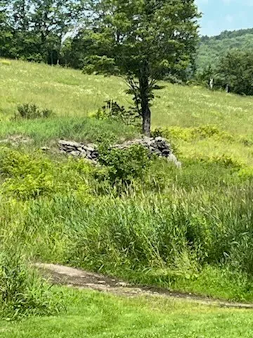 $495,900 | 1615 Left Pines Brook Road, Walton, NY 13856