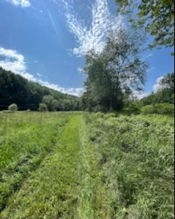 $495,900 | 1615 Left Pines Brook Road, Walton, NY 13856