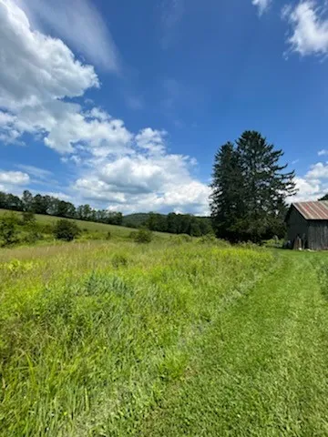 $495,900 | 1615 Left Pines Brook Road, Walton, NY 13856