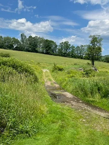 $495,900 | 1615 Left Pines Brook Road, Walton, NY 13856