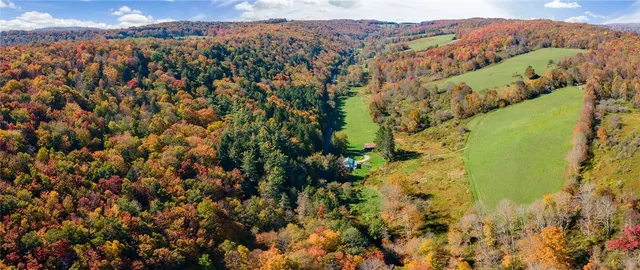 $495,900 | 1615 Left Pines Brook Road, Walton, NY 13856