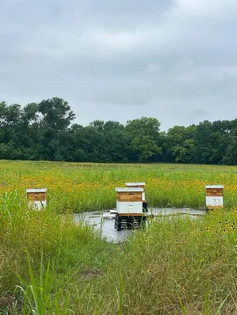 a view of a lake with table and chairs